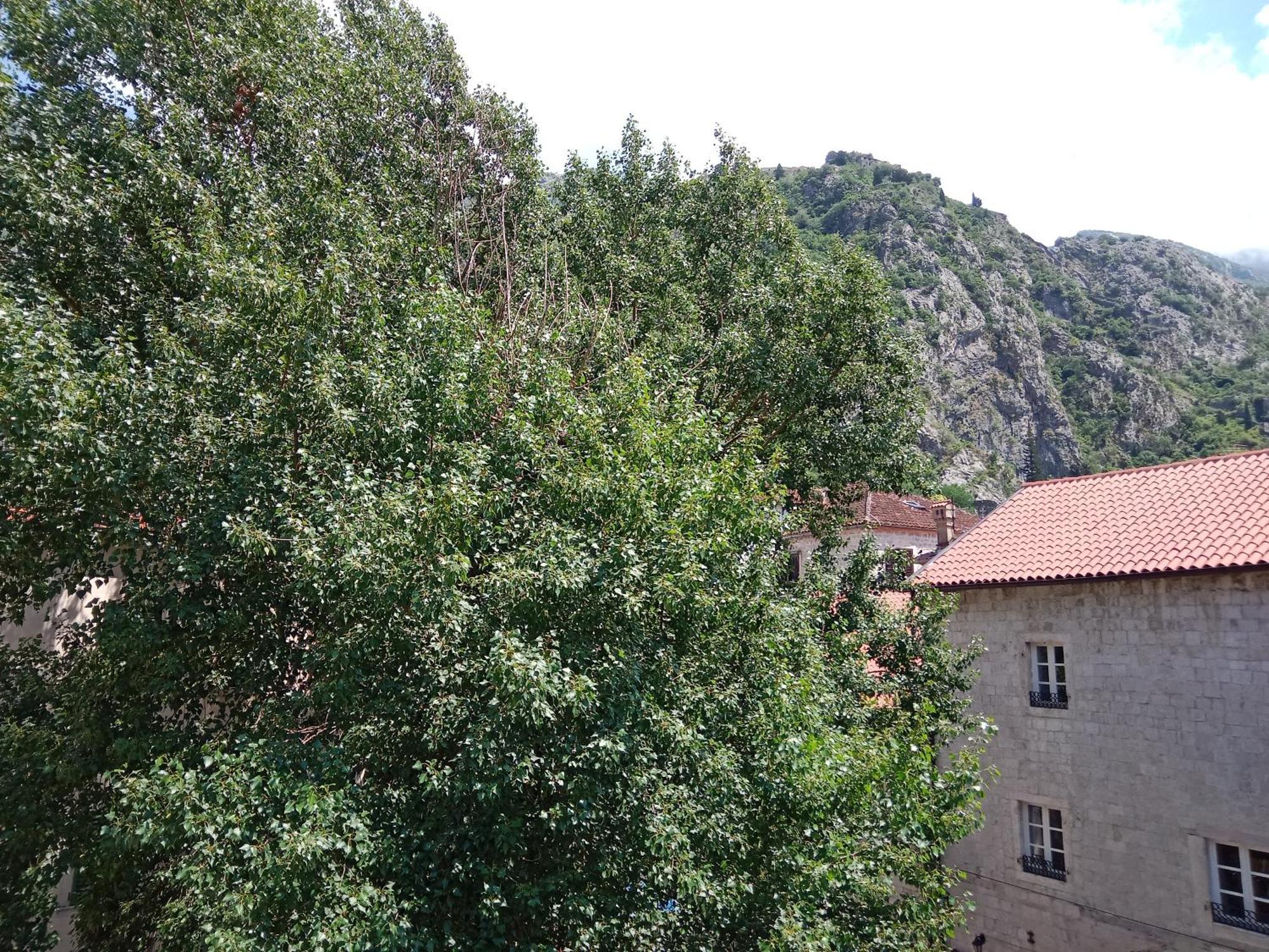 Appartement Centar Starog Grada à Kotor Extérieur photo
