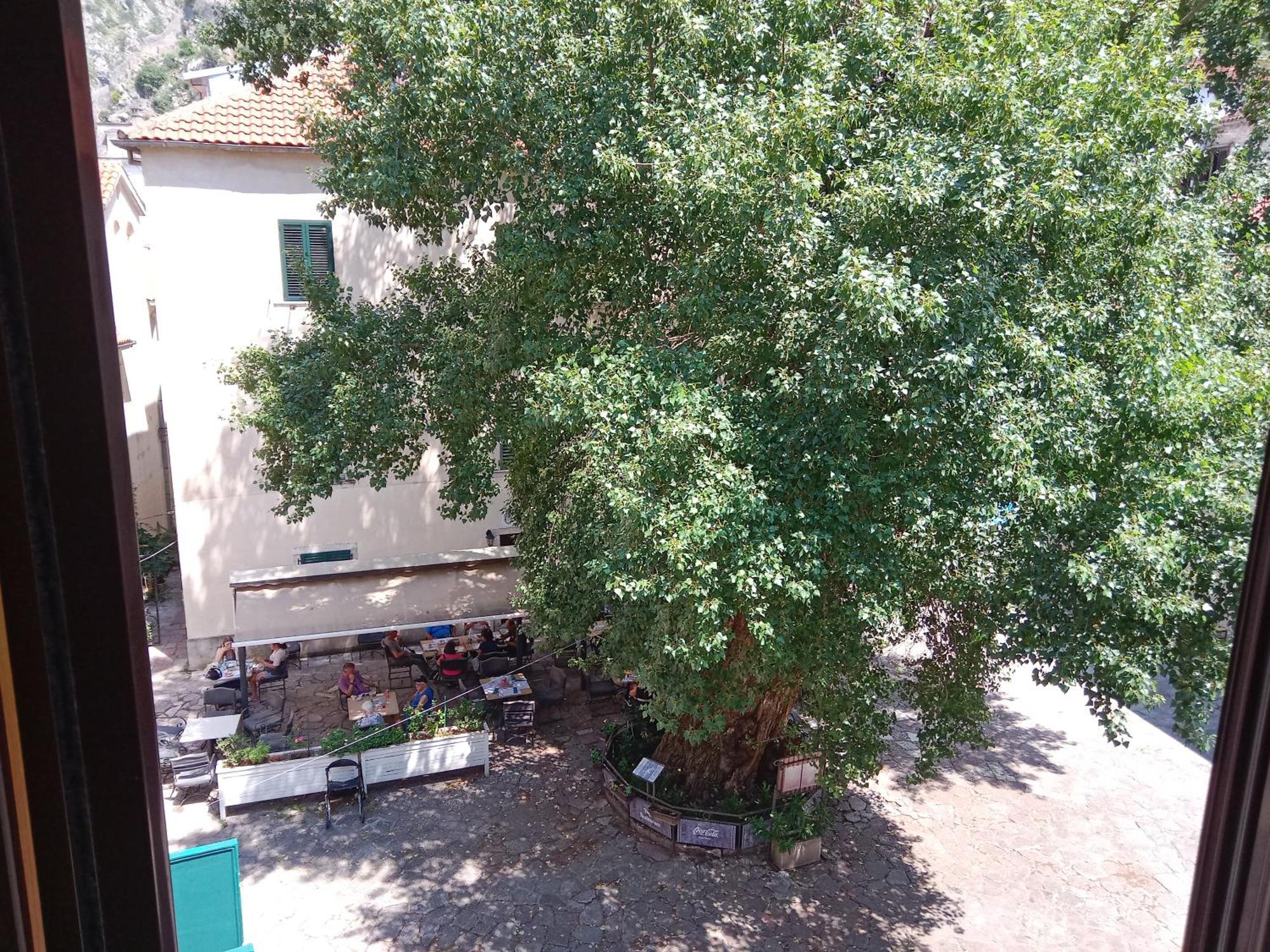 Appartement Centar Starog Grada à Kotor Extérieur photo